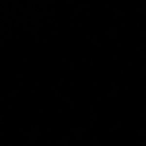 Meet your Posher, Brenna